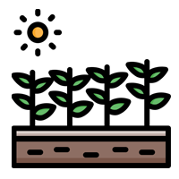 Plantacións e cultivos