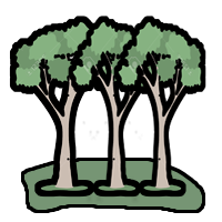 Bosque exótico invasor